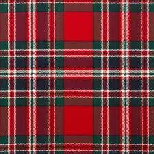 The Pleated Plaid - Heavyweight